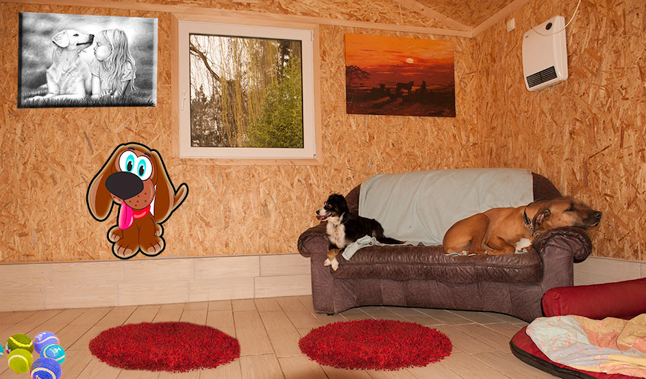 Kennenlernen hunde untereinander
