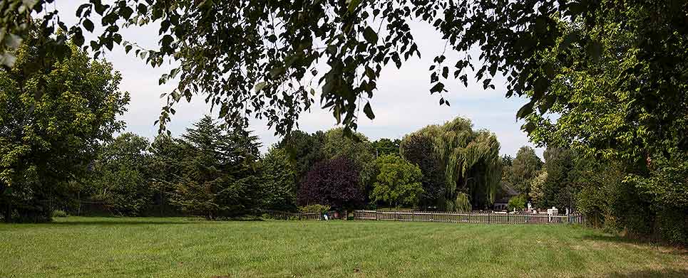 Hunde-Parkhotel