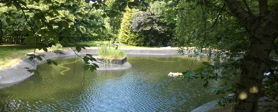 Hunde-Schwimmbad