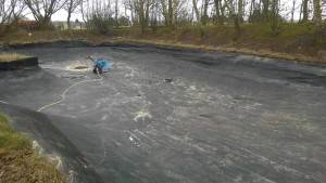 Hunde-Schwimmteich - gereinigter Boden